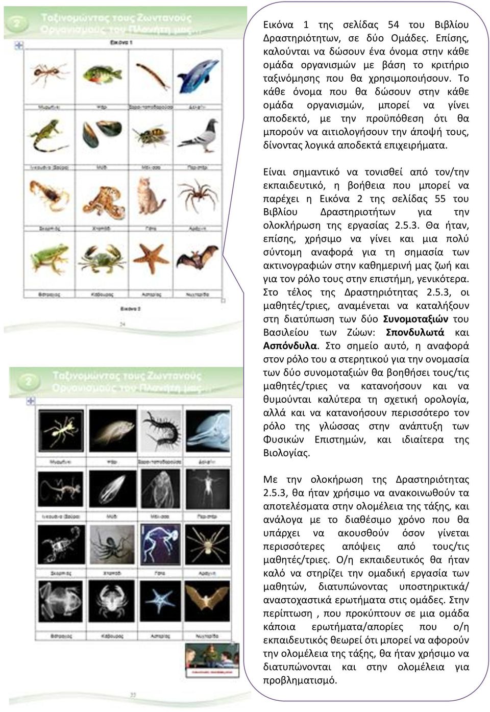 Είναι σημαντικό να τονισθεί από τον/την εκπαιδευτικό, η βοήθεια που μπορεί να παρέχει η Εικόνα 2 της σελίδας 55 του Βιβλίου Δραστηριοτήτων για την ολοκλήρωση της εργασίας 2.5.3.