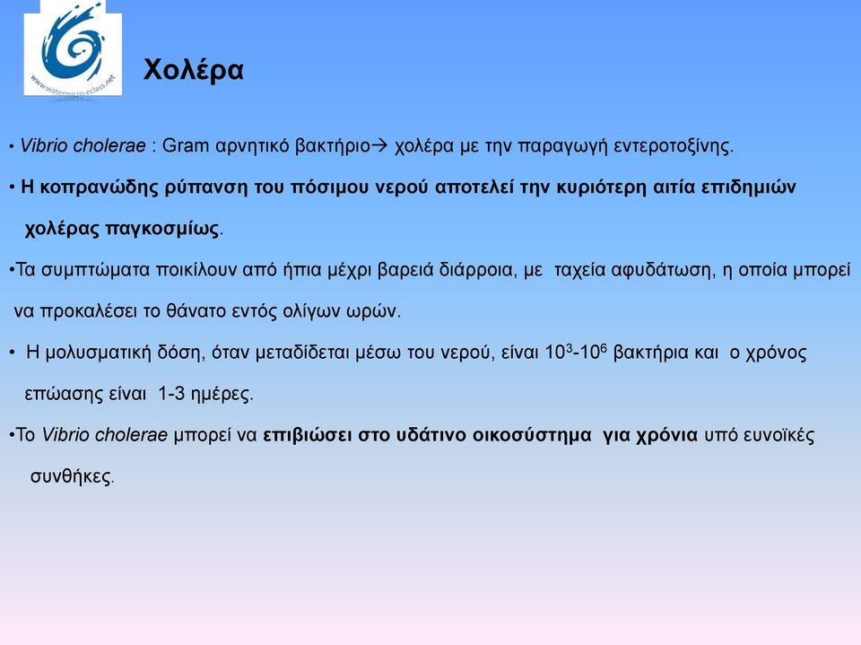 Τα συμπτώματα ποικίλουν από ήπια μέχρι βαρειά διάρροια, με ταχεία αφυδάτωση, η οποία μπορεί να προκαλέσει το θάνατο εντός ολίγων