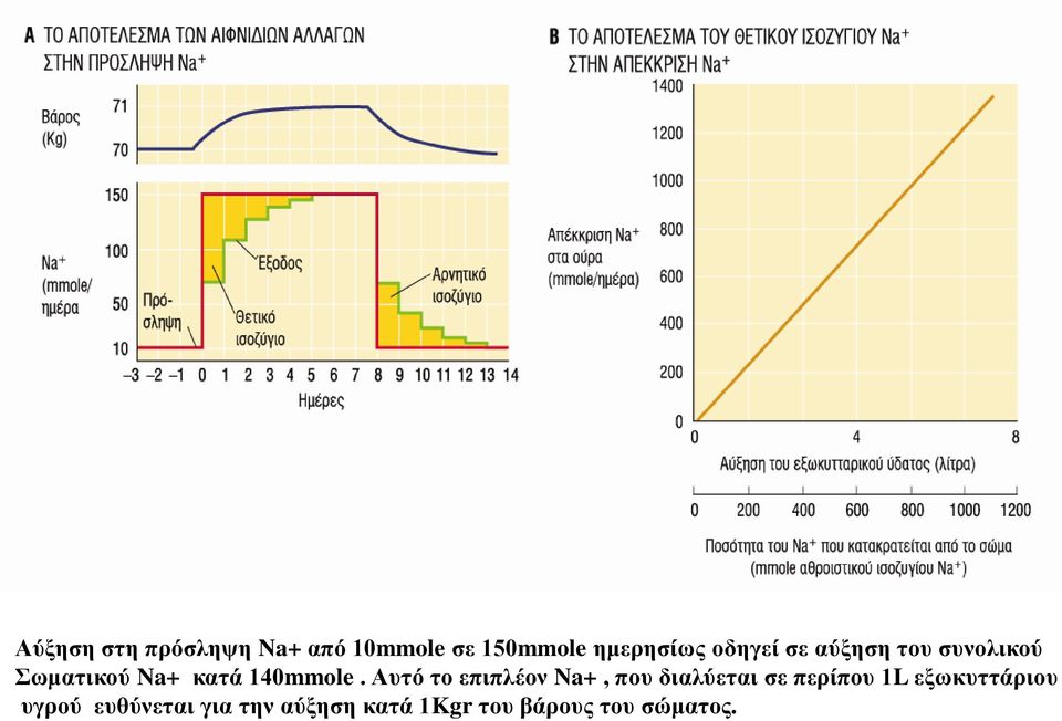 Αυτό το επιπλέον Na+, που διαλύεται σε περίπου 1L