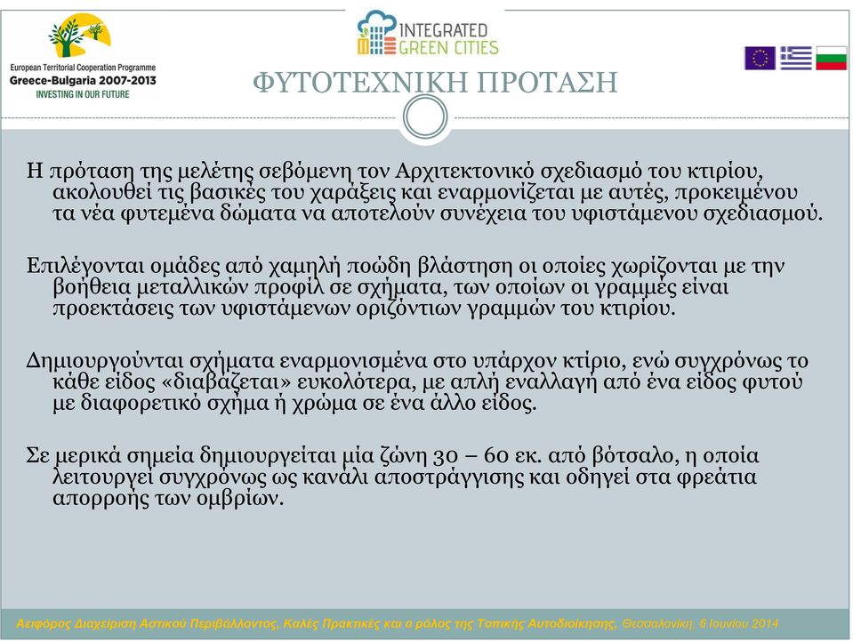 Επιλέγονται ομάδες από χαμηλή ποώδη βλάστηση οι οποίες χωρίζονται με την βοήθεια μεταλλικών προφίλ σε σχήματα, των οποίων οι γραμμές είναι προεκτάσεις των υφιστάμενων οριζόντιων γραμμών του κτιρίου.