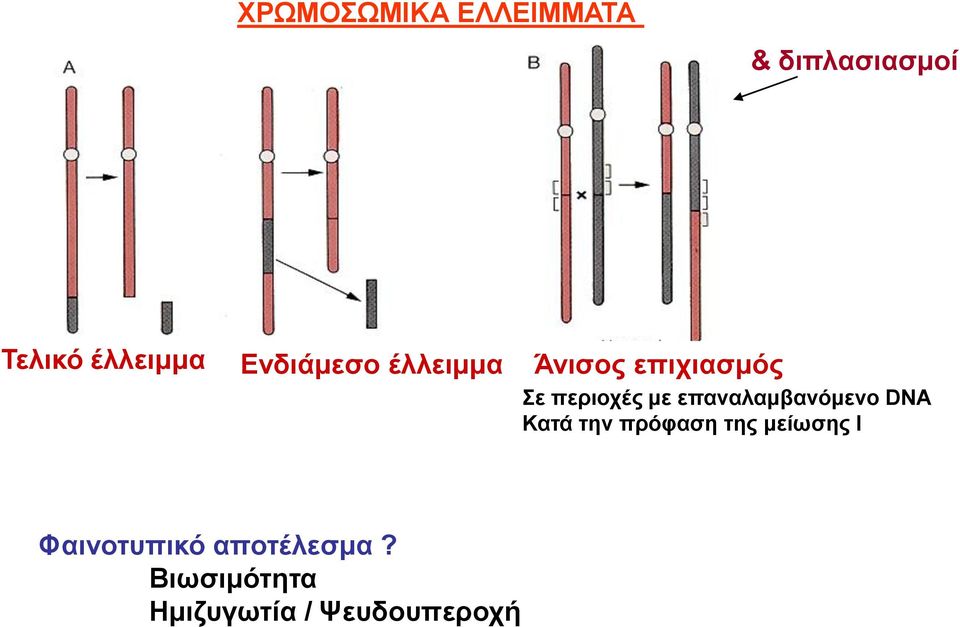 επαναλαμβανόμενο DNA Κατά την πρόφαση της μείωσης Ι