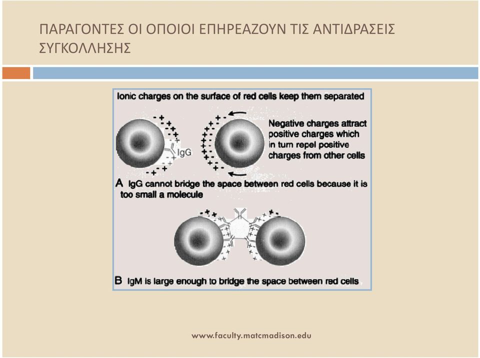 ΑΝΤΙΔΡΑΣΕΙΣ