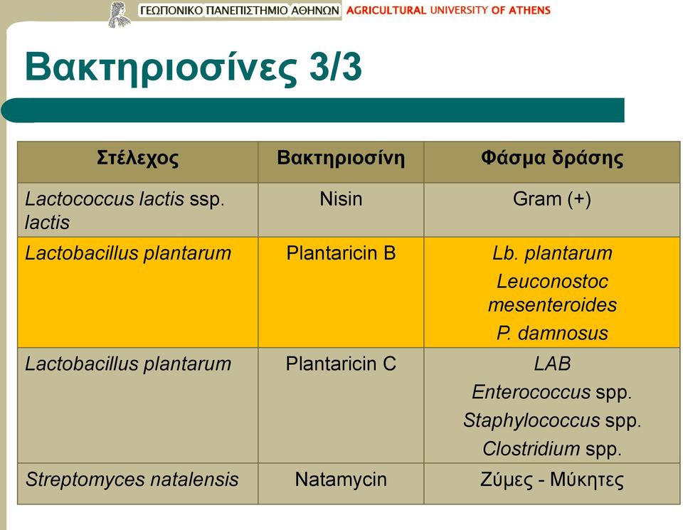 plantarum Leuconostoc mesenteroides P.