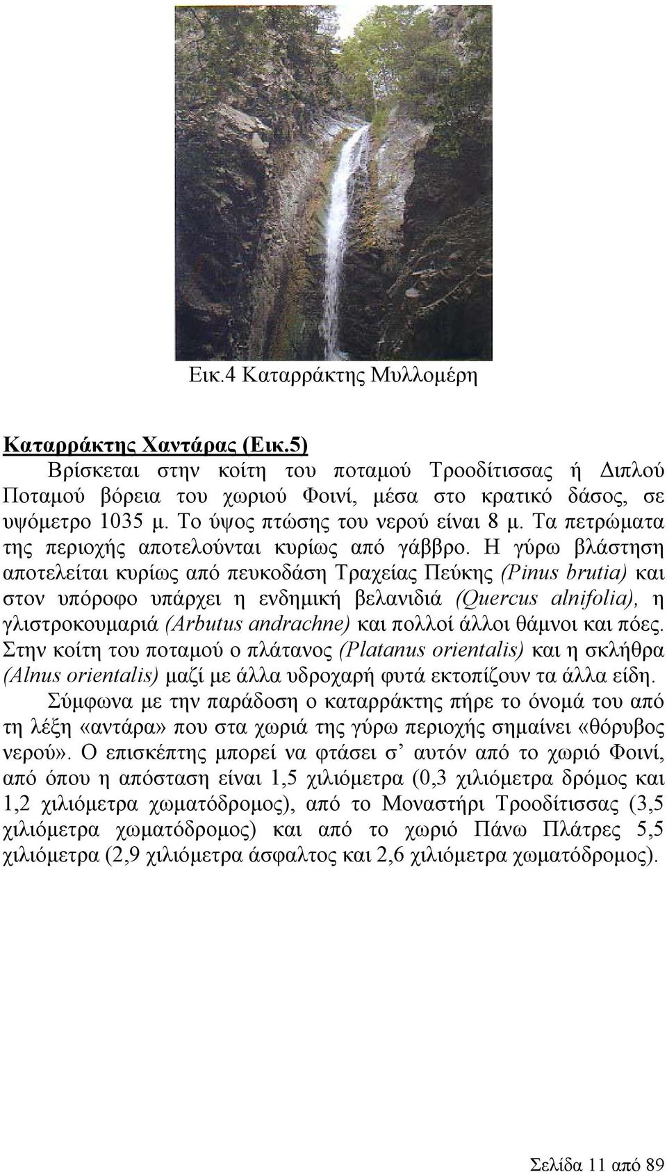 Η γύρω βλάστηση αποτελείται κυρίως από πευκοδάση Τραχείας Πεύκης (Pinus brutia) και στον υπόροφο υπάρχει η ενδημική βελανιδιά (Quercus alnifolia), η γλιστροκουμαριά (Arbutus andrachne) και πολλοί