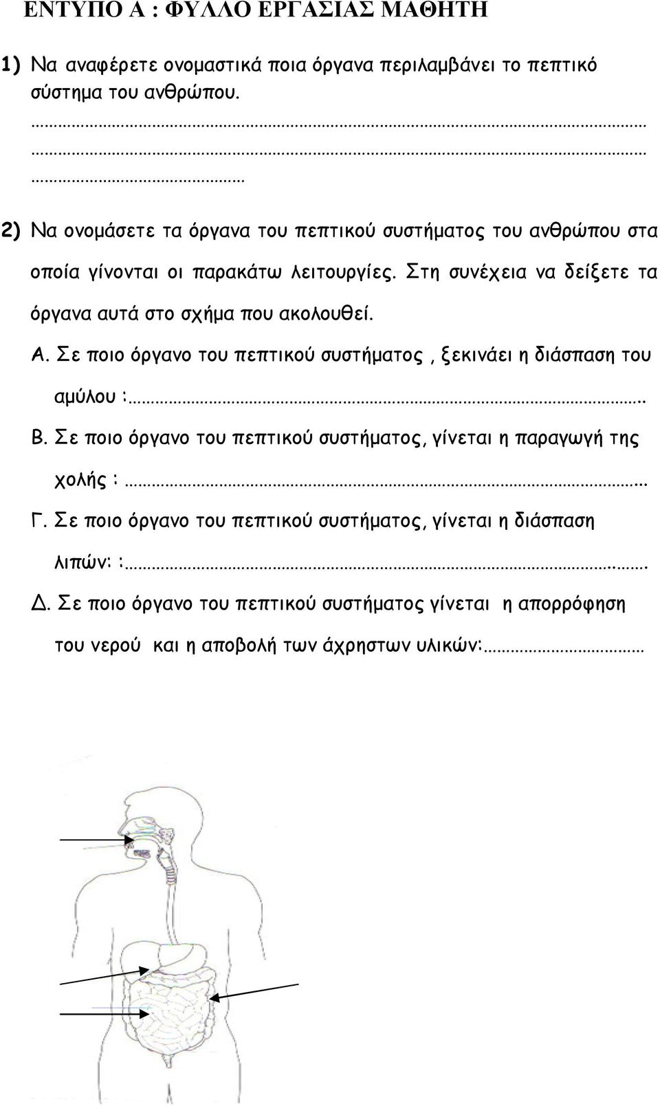 Στη συνέχεια να δείξετε τα όργανα αυτά στο σχήμα που ακολουθεί. Α. Σε ποιο όργανο του πεπτικού συστήματος, ξεκινάει η διάσπαση του αμύλου :.. Β.