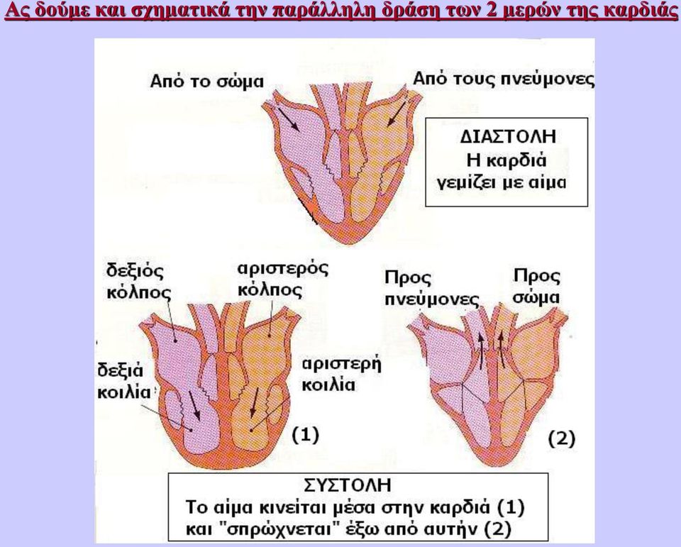 παράλληλη δράση