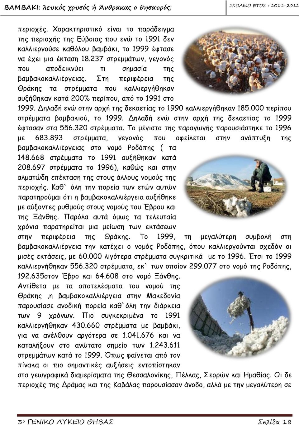 Δηλαδή ενώ στην αρχή της δεκαετίας το 1990 καλλιεργήθηκαν 185.000 περίπου στρέμματα βαμβακιού, το 1999. Δηλαδή ενώ στην αρχή της δεκαετίας το 1999 έφτασαν στα 556.320 στρέμματα.