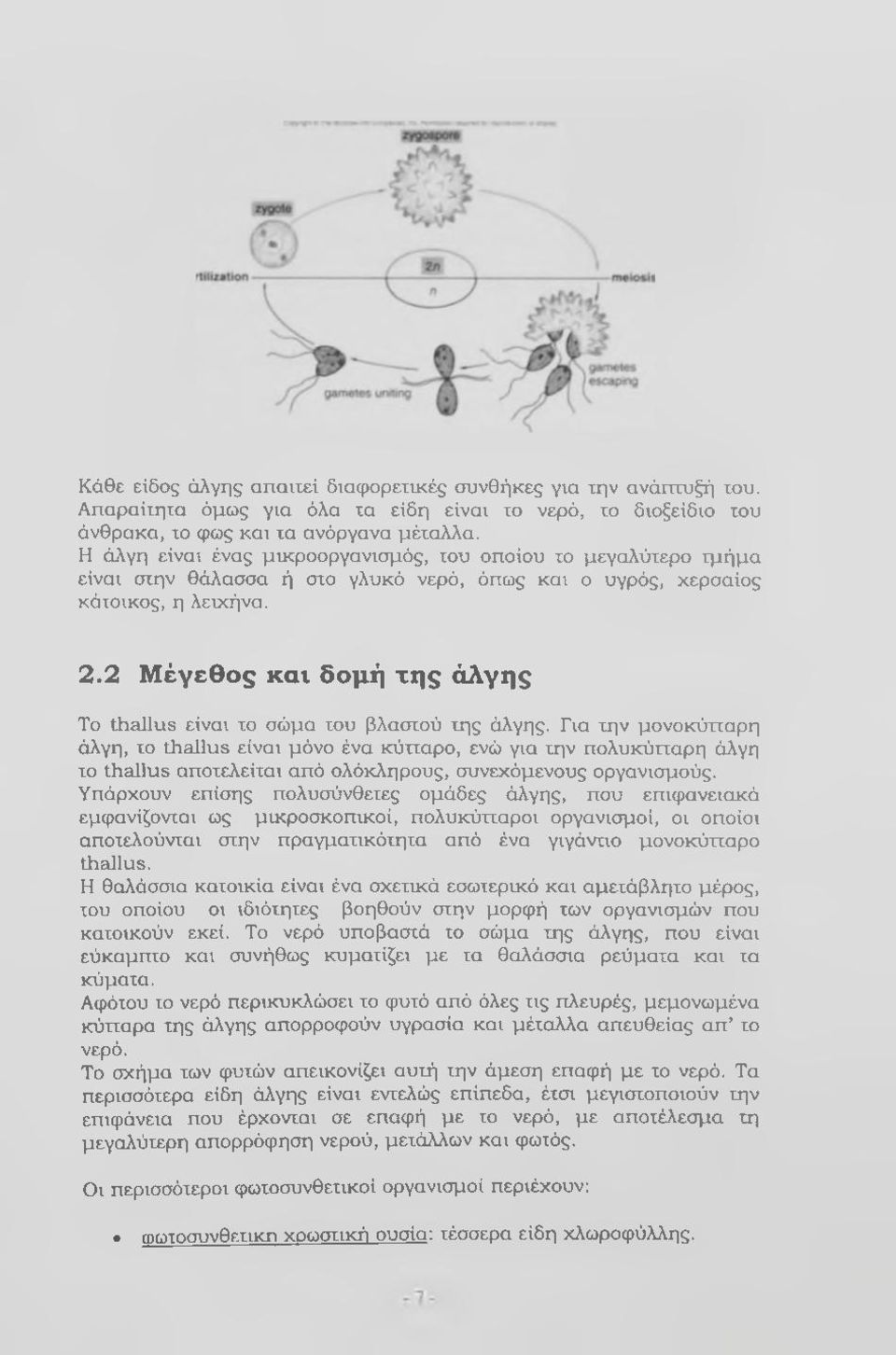 2 Μέγεθος και δομή της άλγης Το thallus είναι το σώμα του βλαστού της άλγης.