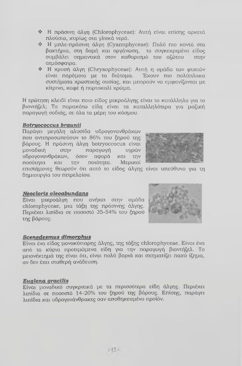 Η χρυσή άλγη (Chrysophyceae): Αυτή η ομάδα των φυκιών είναι παρόμοια με τα διάτομα. Έχουν πιο πολύπλοκα συστήματα χρωστικής ουσίας, και μπορούν να εμφανίζονται με κίτρινο, καφέ ή πορτοκαλί χρώμα.