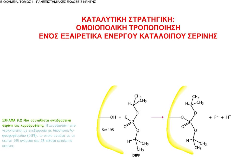 ΣΤΡΑΤΗΓΙΚΗ: ΟΜΟΙΟΠΟΛΙΚΗ