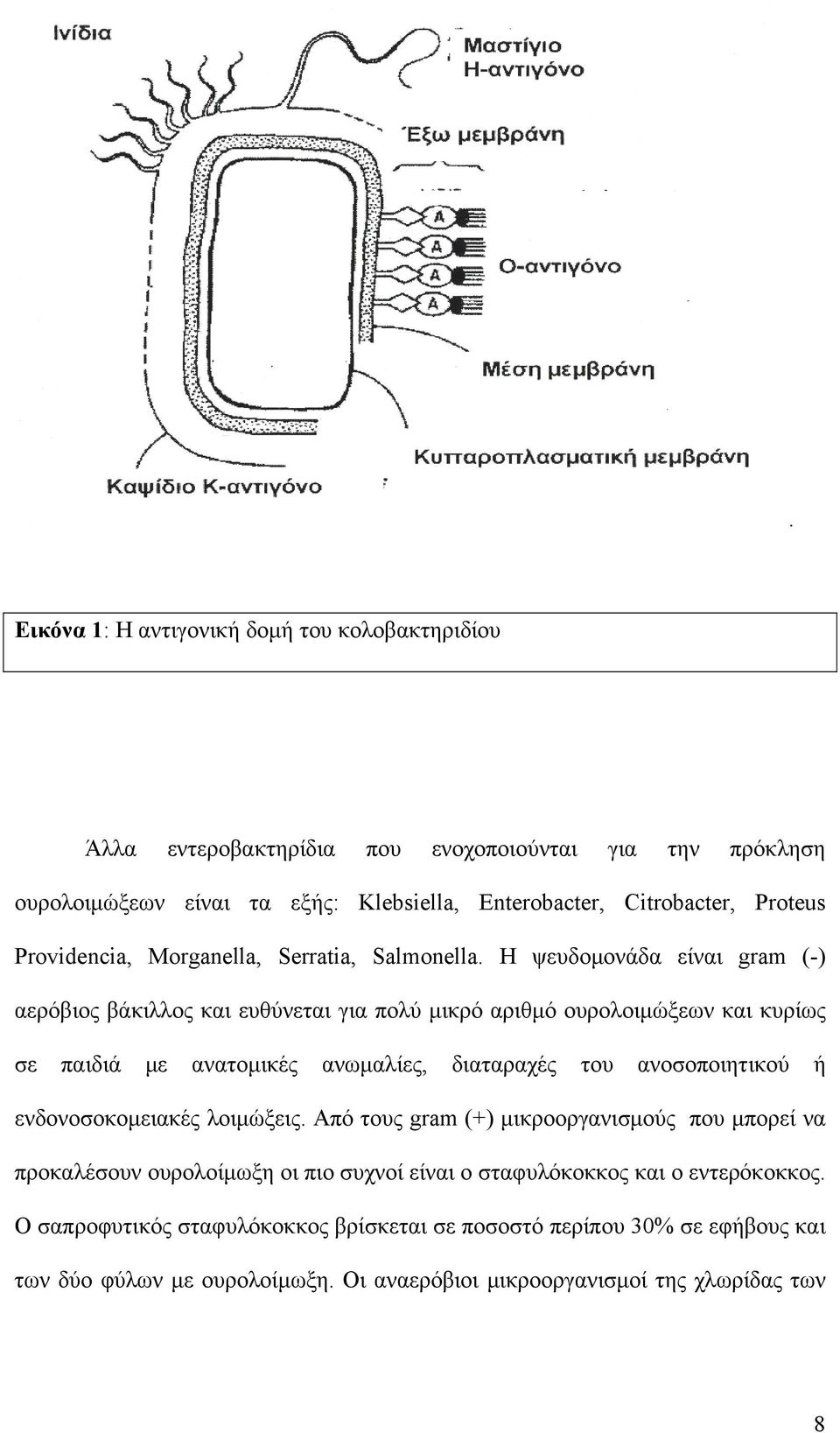 Η ψευδομονάδα είναι gram (-) αερόβιος βάκιλλος και ευθύνεται για πολύ μικρό αριθμό ουρολοιμώξεων και κυρίως σε παιδιά με ανατομικές ανωμαλίες, διαταραχές του ανοσοποιητικού ή