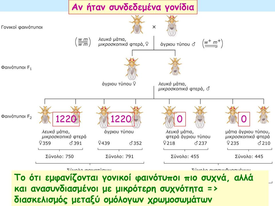 αλλά και ανασυνδιασμένοι με μικρότερη