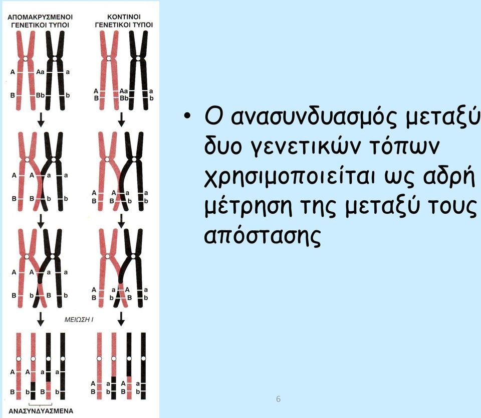 χρησιμοποιείται ως αδρή