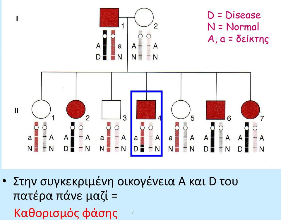 οικογένεια Α και D του