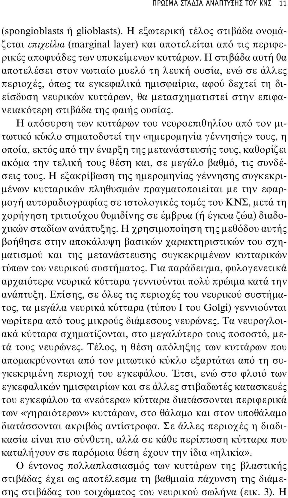 επιφανειακότερη στιβάδα της φαιής ουσίας.