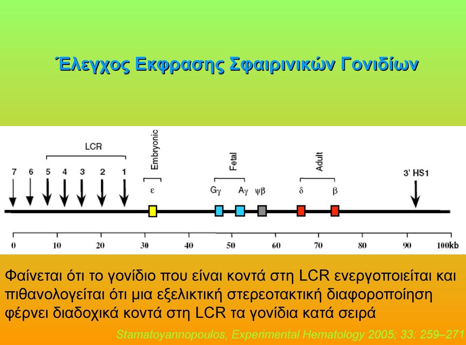 εξελικτική στερεοτακτική διαφοροποίηση φέρνει διαδοχικά κοντά στη LCR