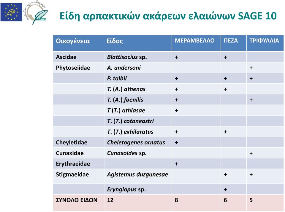 ) athiasae + T. (T.) cotoneastri T. (T.) exhilaratus + + Cheyletidae Cheletogenes ornatus + Cunaxidae Cunaxoides sp.