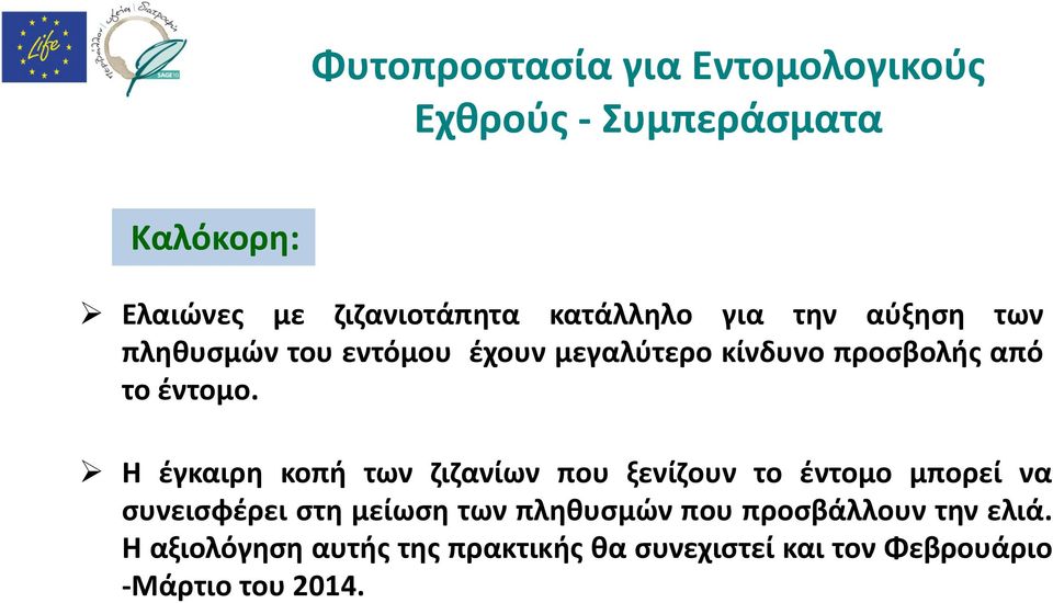 Η έγκαιρη κοπή των ζιζανίων που ξενίζουν το έντομο μπορεί να συνεισφέρει στη μείωση των πληθυσμών