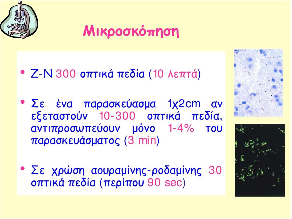 αντιπροσωπεύουν μόνο 1-4% του παρασκευάσματος (3 min)