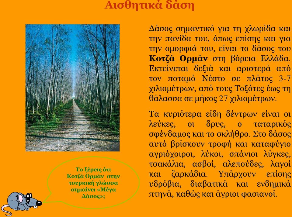 Το ξέρεις ότι Κοτζά Ορμάν στην τουρκική γλώσσα σημαίνει «Μέγα Δάσος»; Τα κυριότερα είδη δέντρων είναι οι λεύκες, οι δρυς, ο ταταρικός σφένδαμος και το σκλήθρο.