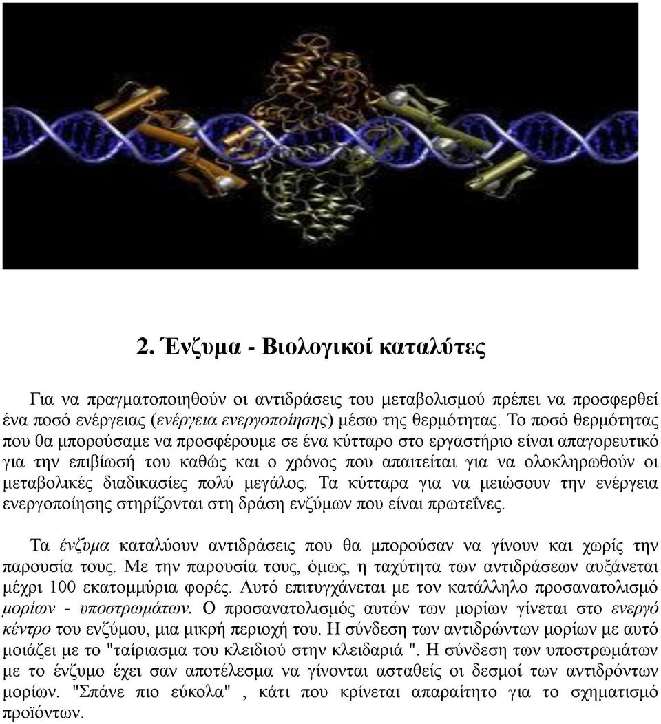 διαδικασίες πολύ μεγάλος. Τα κύτταρα για να μειώσουν την ενέργεια ενεργοποίησης στηρίζονται στη δράση ενζύμων που είναι πρωτεΐνες.