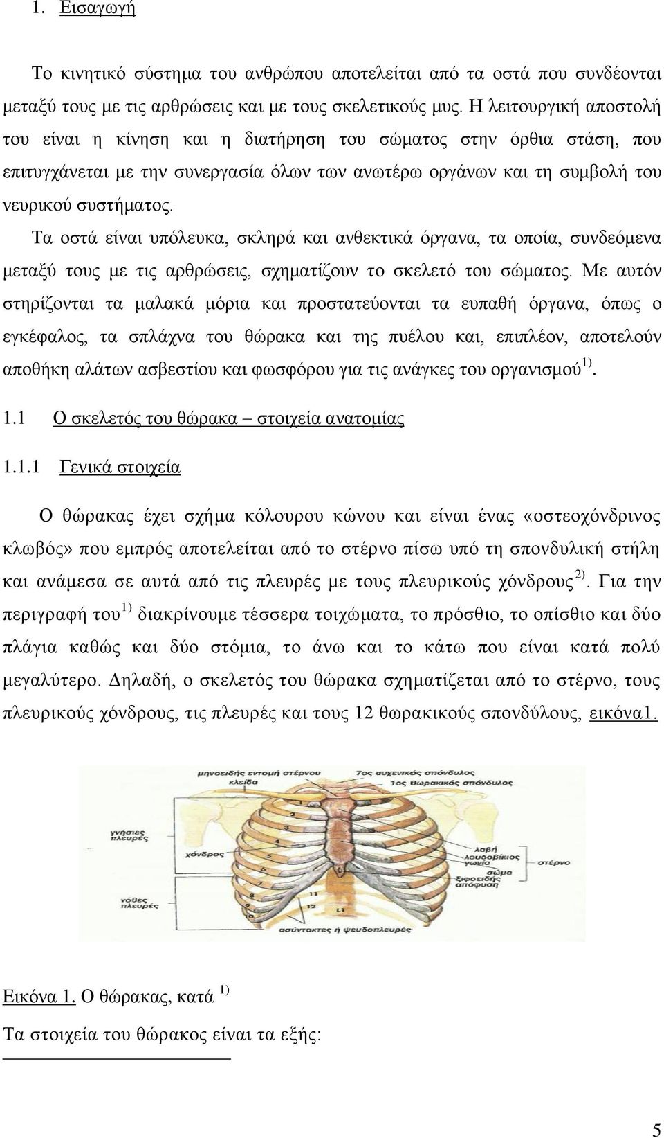 Τα οστά είναι υπόλευκα, σκληρά και ανθεκτικά όργανα, τα οποία, συνδεόμενα μεταξύ τους με τις αρθρώσεις, σχηματίζουν το σκελετό του σώματος.