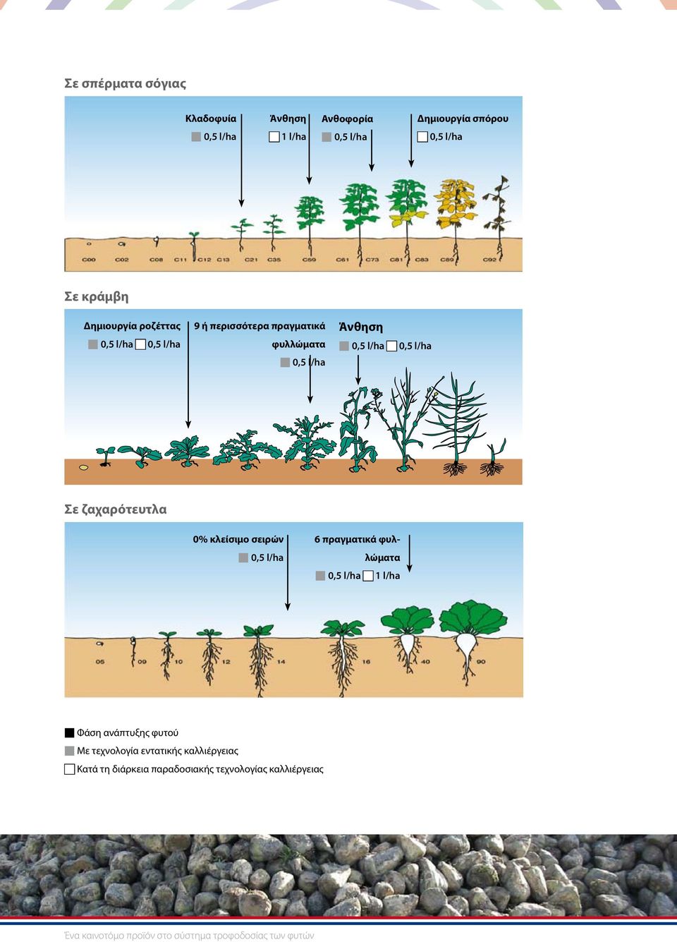 πραγματικά φυλλώματα 1 l/ha Φάση ανάπτυξης φυτού Με τεχνολογία εντατικής καλλιέργειας Κατά τη