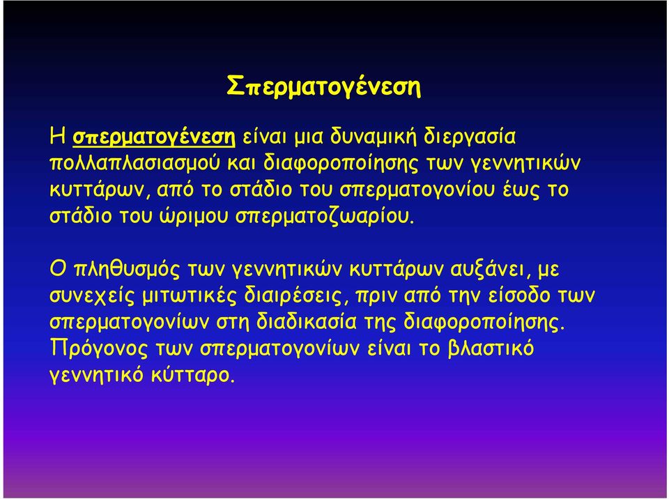 Ο πληθυσμός των γεννητικών κυττάρων αυξάνει, με συνεχείς μιτωτικές διαιρέσεις, πριν από την είσοδο των