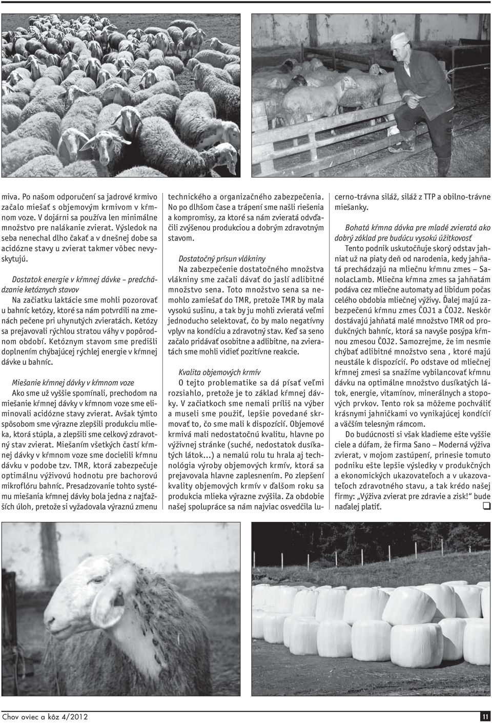 Dostatok energie v kŕmnej dávke predchádzanie ketóznych stavov Na začiatku laktácie sme mohli pozorovať u bahníc ketózy, ktoré sa nám potvrdili na zmenách pečene pri uhynutých zvieratách.