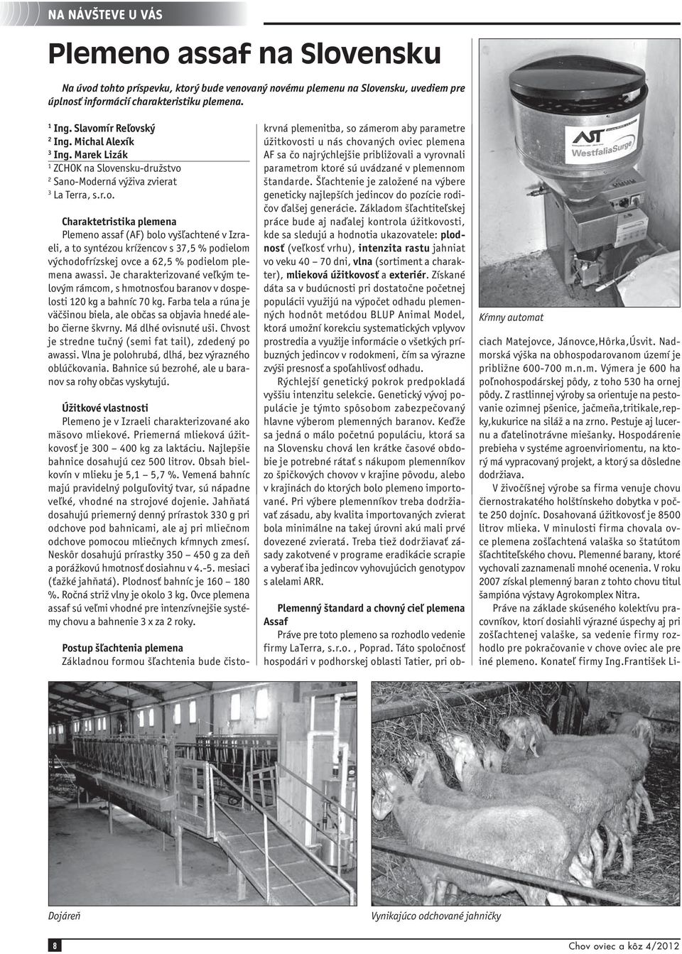 Je charakterizované veľkým telovým rámcom, s hmotnosťou baranov v dospelosti 120 kg a bahníc 70 kg. Farba tela a rúna je väčšinou biela, ale občas sa objavia hnedé alebo čierne škvrny.