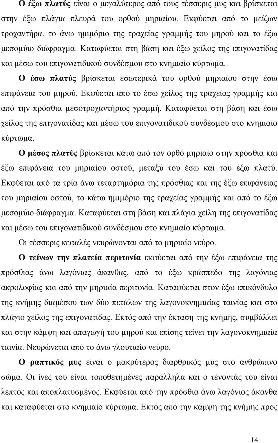 Καταφύεται στη βάση και έξω χείλος της επιγονατίδας και μέσω του επιγονατιδικού συνδέσμου στο κνημιαίο κύρτωμα. Ο έσω πλατύς βρίσκεται εσωτερικά του ορθού μηριαίου στην έσω επιφάνεια του μηρού.