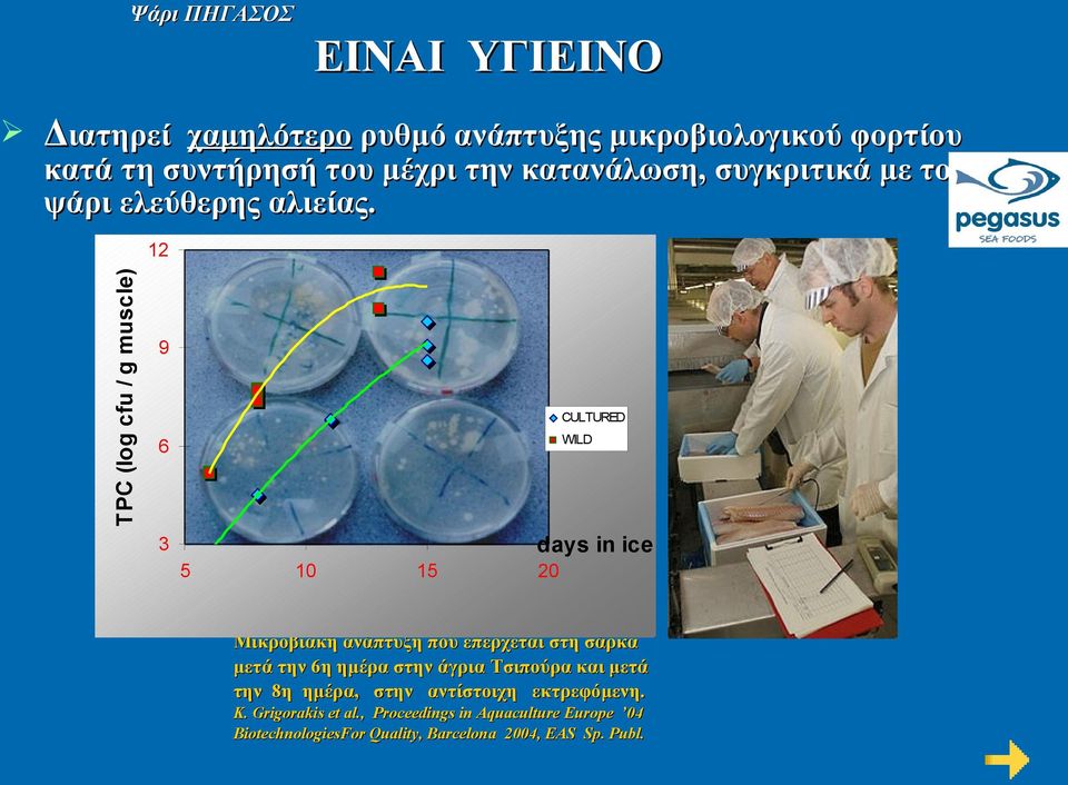 12 TPC (log cfu / g muscle) 9 CULTURED WILD 6 days in ice 3 5 10 15 20 Μικροβιακή ανάπτυξη που επέρχεται στη σάρκα μετά