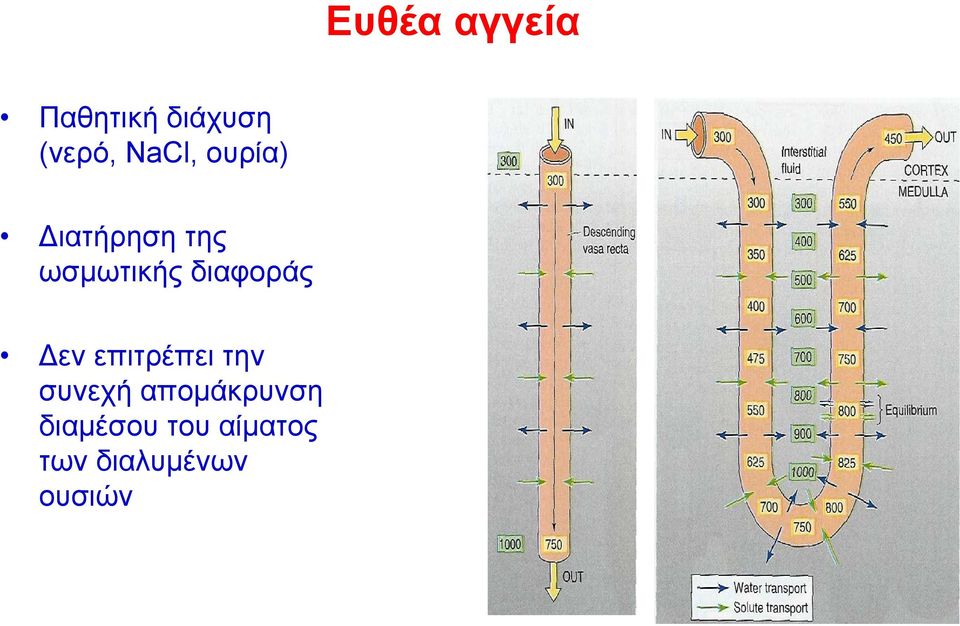 διαφοράς Δεν επιτρέπει την συνεχή