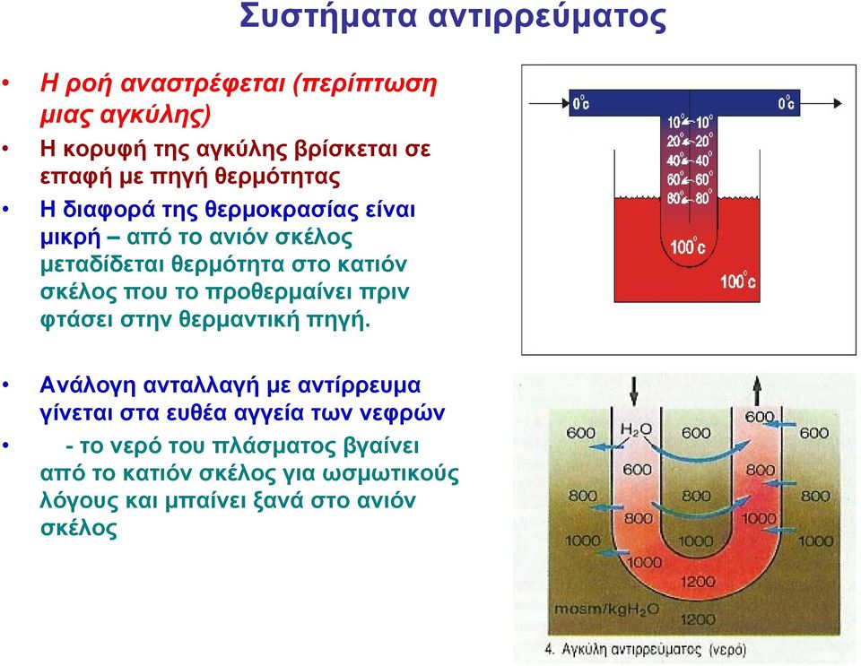 φτάσει στην θερμαντική πηγή.