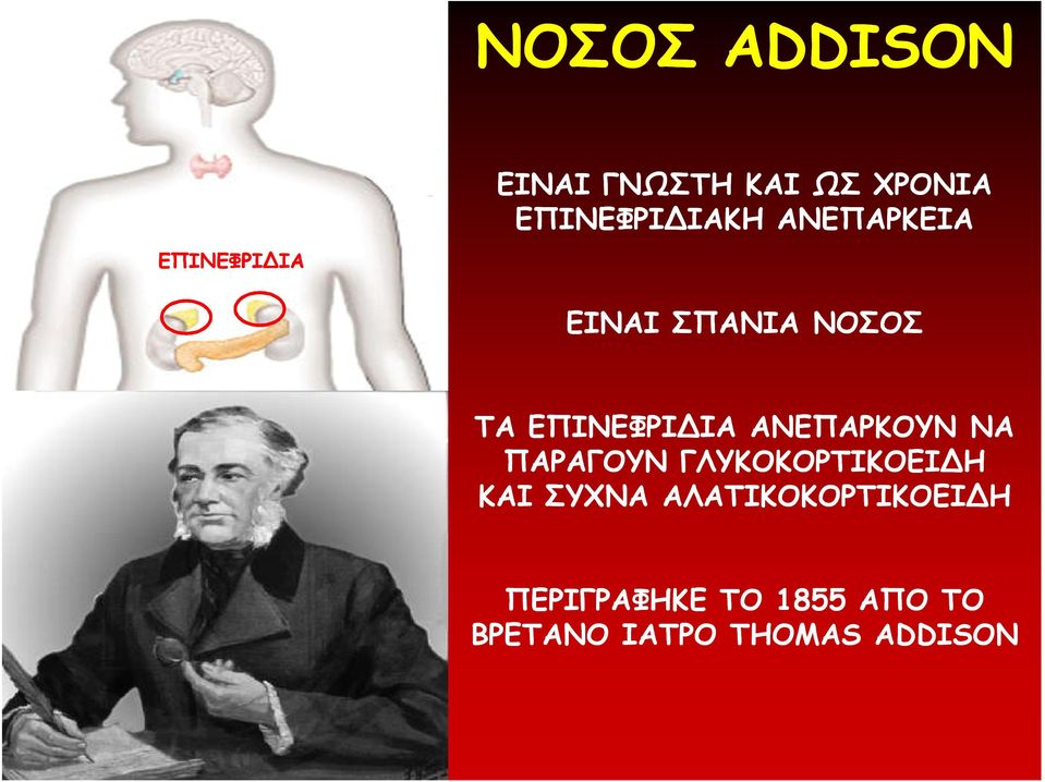 ΑΝΕΠΑΡΚΟΥΝ ΝΑ ΠΑΡΑΓΟΥΝ ΓΛΥΚΟΚΟΡΤΙΚΟΕΙΔΗ ΚΑΙ ΣΥΧΝΑ