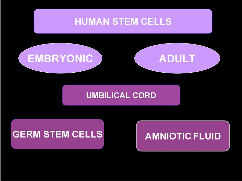 UMBILICAL CORD GERM