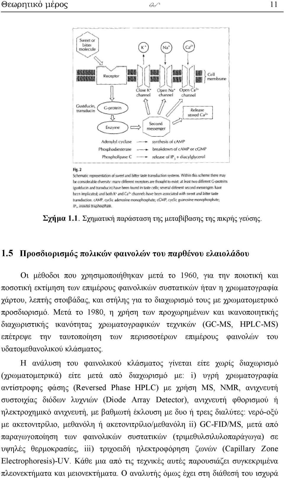 1. Σχηματική παράσταση της μεταβίβασης της πικρής γεύσης. 1.