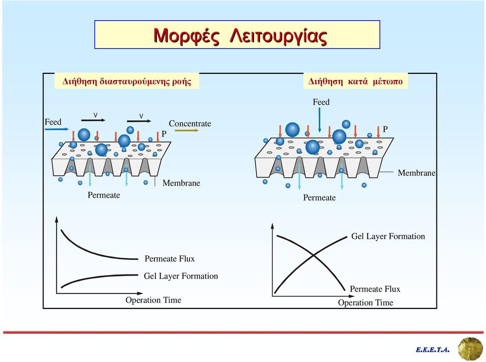 P Permeate Membrane Permeate Membrane Gel Layer Formation Permeate