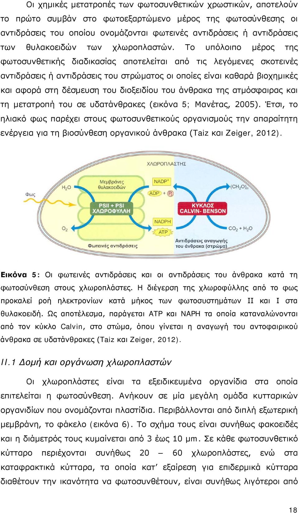 Το υπόλοιπο μέρος της φωτοσυνθετικής διαδικασίας αποτελείται από τις λεγόμενες σκοτεινές αντιδράσεις ή αντιδράσεις του στρώματος οι οποίες είναι καθαρά βιοχημικές και αφορά στη δέσμευση του