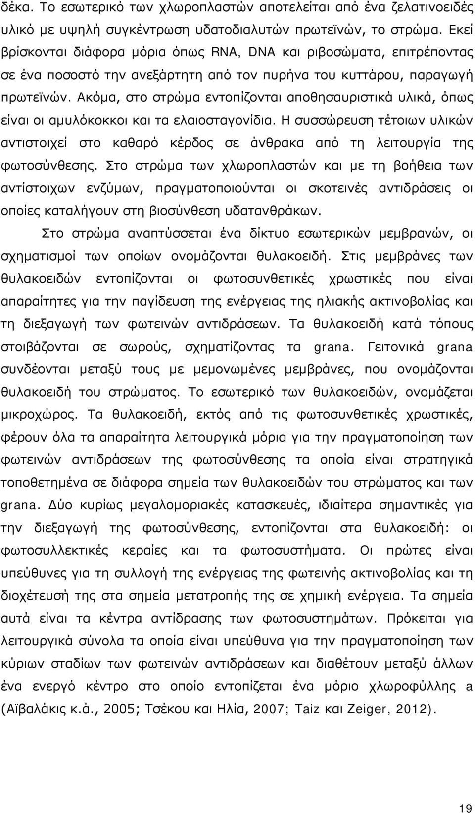 Ακόμα, στο στρώμα εντοπίζονται αποθησαυριστικά υλικά, όπως είναι οι αμυλόκοκκοι και τα ελαιοσταγονίδια.