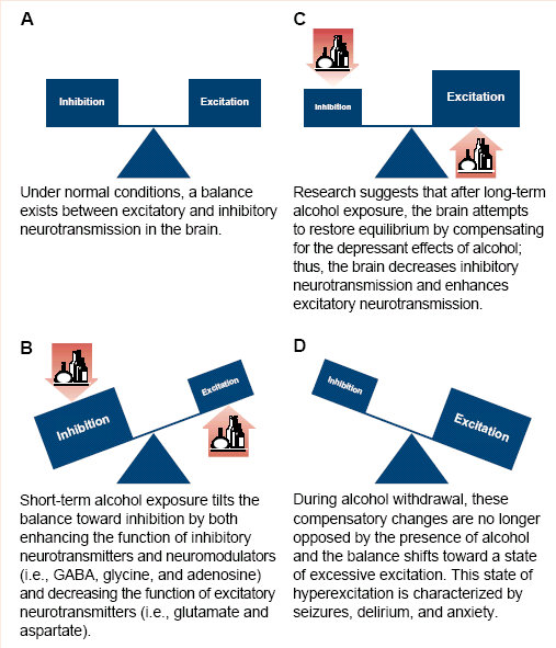 Inhibicija GABA i GLUTAMAT Ekscitacija Inhibicija Ekscitacija Pod normalnim uslovima postoji balans izmedju ekscitatornih i inhibitornih neurotransmitera ui mozgu.