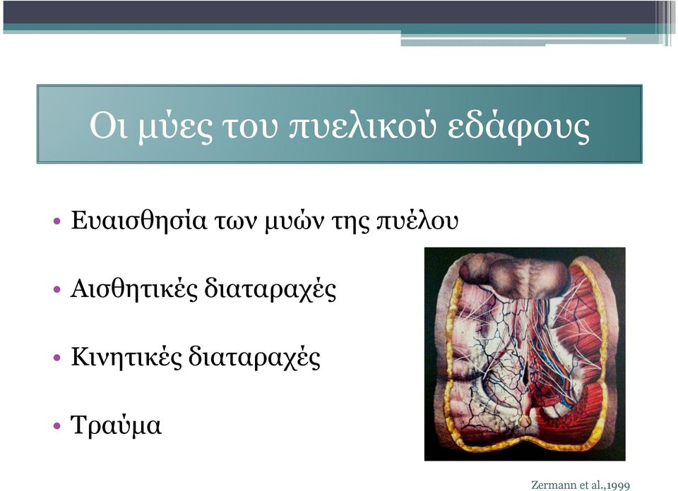 Αισθητικές διαταραχές Κινητικές