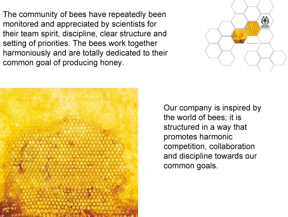 The bees work together harmoniously and are totally dedicated to their common goal of producing honey.
