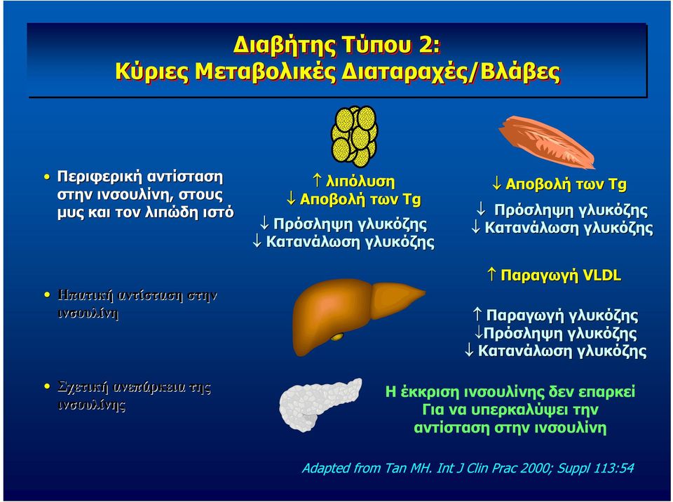 Κατανάλωση γλυκόζης Παραγωγή VLDL Παραγωγή γλυκόζης Πρόσληψη γλυκόζης Κατανάλωση γλυκόζης Σχετική ανεπάρκεια της ινσουλίνης Η