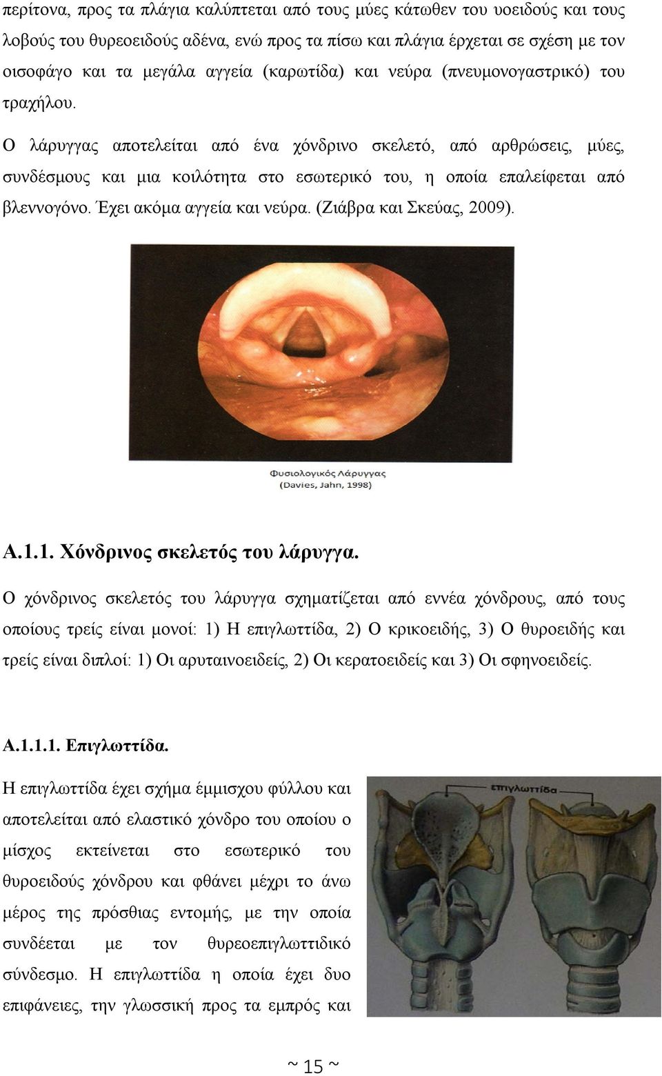 Ο λάρυγγας αποτελείται από ένα χόνδρινο σκελετό, από αρθρώσεις, μύες, συνδέσμους και μια κοιλότητα στο εσωτερικό του, η οποία επαλείφεται από βλεννογόνο. Έχει ακόμα αγγεία και νεύρα.