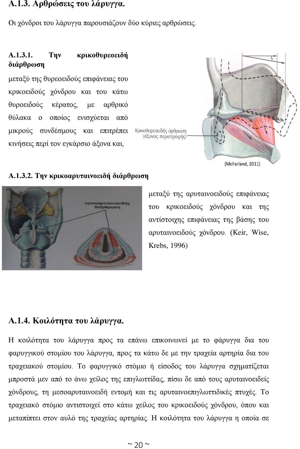 Την κρικοαρυταινοειδή διάρθρωση μεταξύ της αρυταινοειδούς επιφάνειας του κρικοειδούς χόνδρου και της αντίστοιχης επιφάνειας της βάσης του αρυταινοειδούς χόνδρου. (Keir, Wise, Krebs, 1996) Α.1.4.