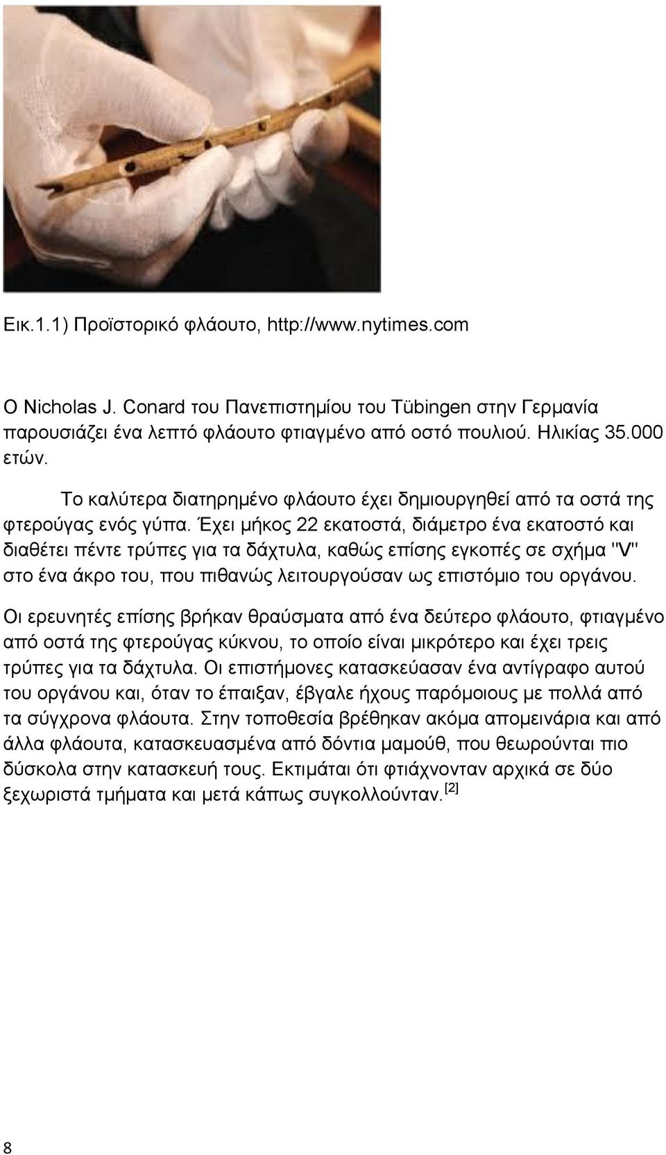 Έχει μήκος 22 εκατοστά, διάμετρο ένα εκατοστό και διαθέτει πέντε τρύπες για τα δάχτυλα, καθώς επίσης εγκοπές σε σχήμα "V" στο ένα άκρο του, που πιθανώς λειτουργούσαν ως επιστόμιο του οργάνου.