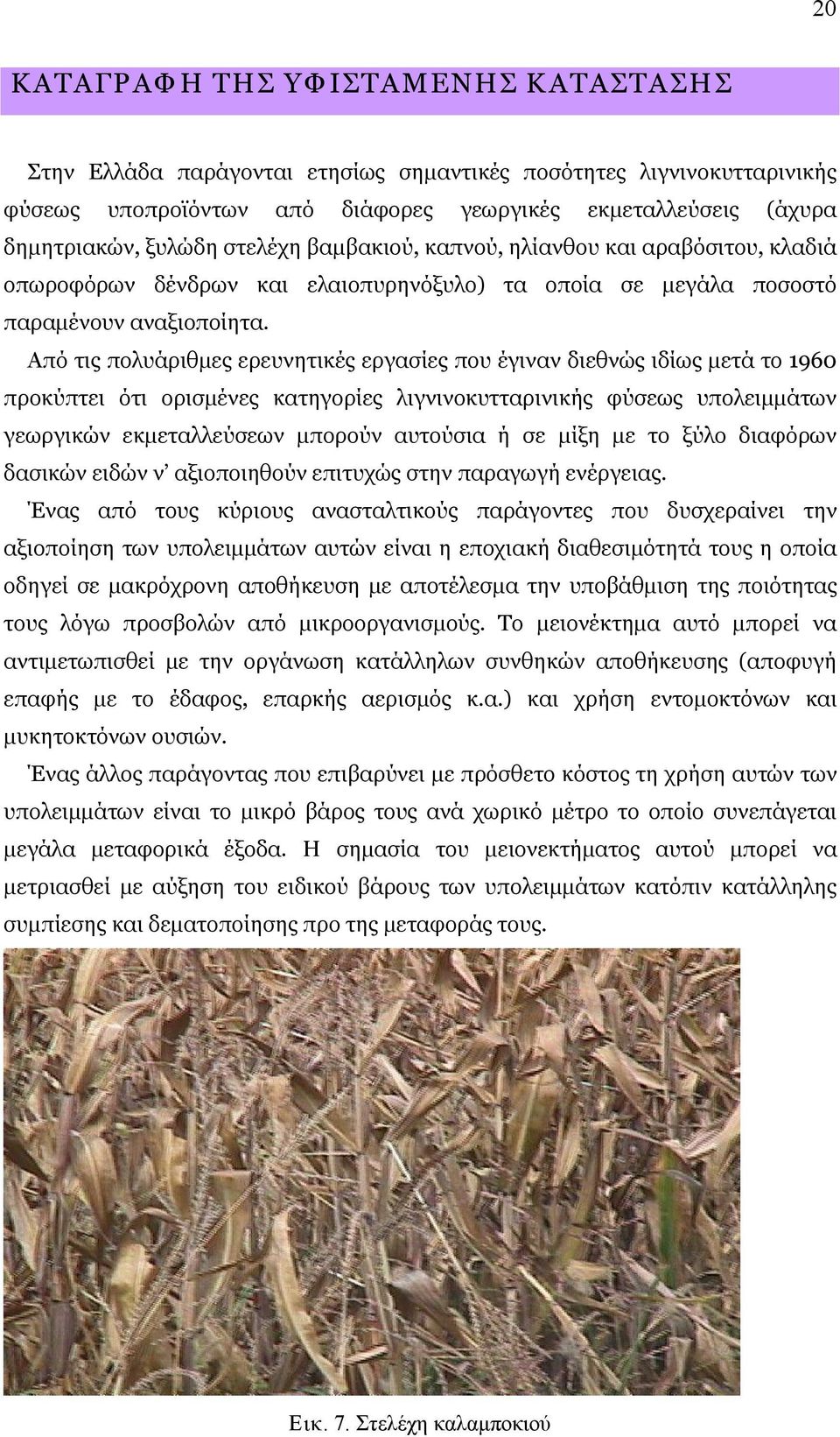 Από τις πολυάριθμες ερευνητικές εργασίες που έγιναν διεθνώς ιδίως μετά το 1960 προκύπτει ότι ορισμένες κατηγορίες λιγνινοκυτταρινικής φύσεως υπολειμμάτων γεωργικών εκμεταλλεύσεων μπορούν αυτούσια ή