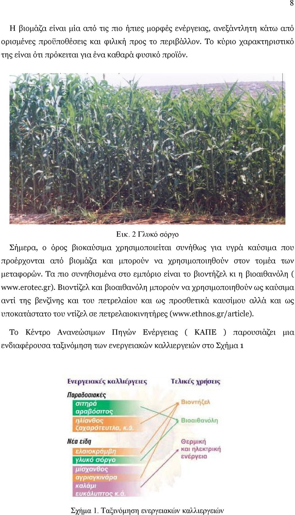 2 Γλυκό σόργο Σήμερα, ο όρος βιοκαύσιμα χρησιμοποιείται συνήθως για υγρά καύσιμα που προέρχονται από βιομάζα και μπορούν να χρησιμοποιηθούν στον τομέα των μεταφορών.
