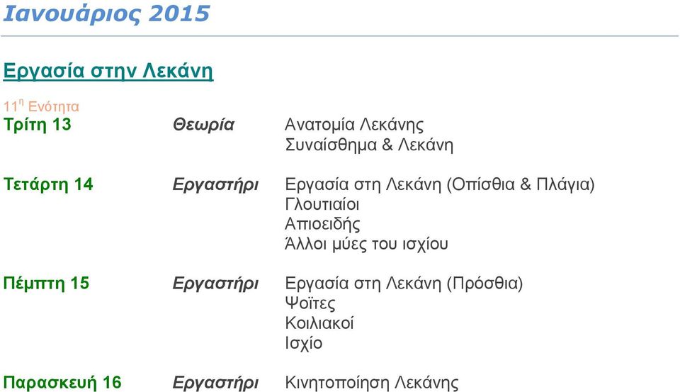 Πλάγια) Γλουτιαίοι Απιοειδής Άλλοι μύες του ισχίου Πέμπτη 15 Εργαστήρι Εργασία